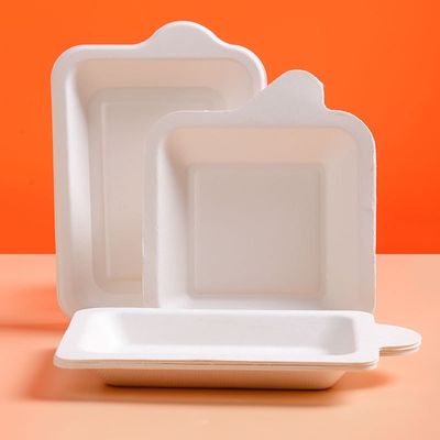 Fruit Molded Pulp Tray Lightweight Moluded Paper Pulp Recyclable
