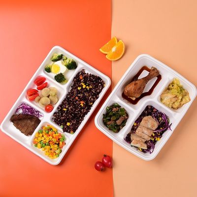 OEM / ODM Molded Pulp Packaging Paper Food Packing Box Printing