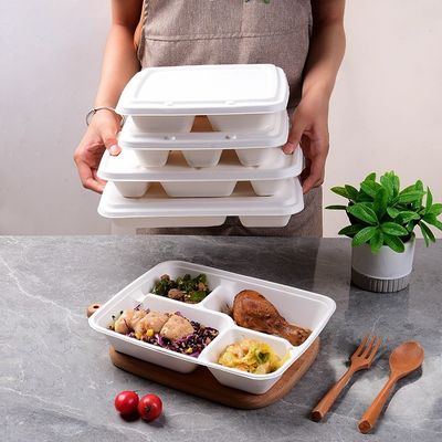 OEM / ODM Molded Pulp Packaging Paper Food Packing Box Printing