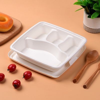 Spoon Molded Pulp Products Lightweight Moluded Pulp Packaging