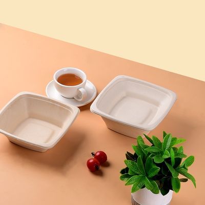 Reusable Custom Molded Pulp Packaging Printing Food Packing Box
