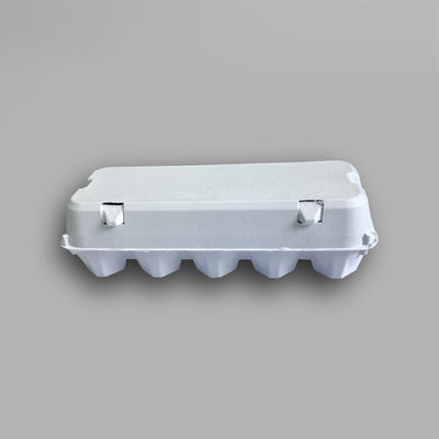 Customized Molded Pulp Packaging Recyclable Food Packing Box Biodegradable