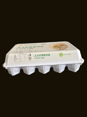 Customized Molded Pulp Packaging Recyclable Food Packing Box Biodegradable