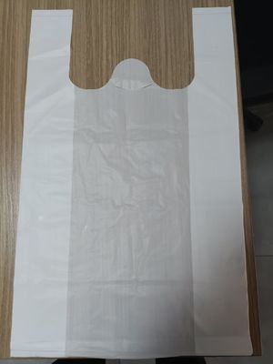 Custom Printed Biodegradable Compostable Eco Friendly Shopping Bag With Customized Logo And Design